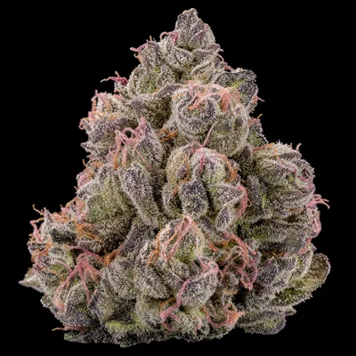 Astro Pink