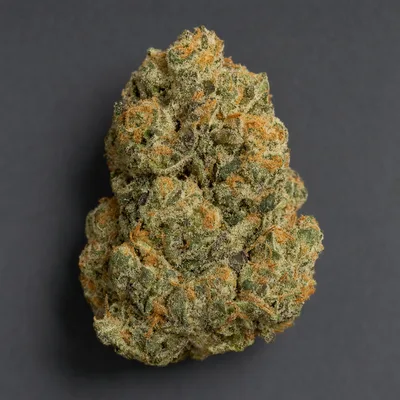 Gorilla Gas