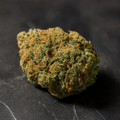 GRIZZLY