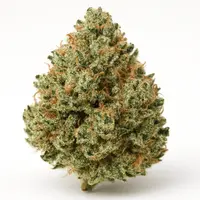 Jamaican Pearl