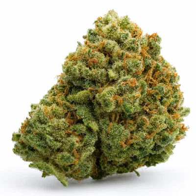 Lemon Tree