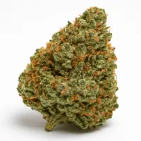 MK Ultra