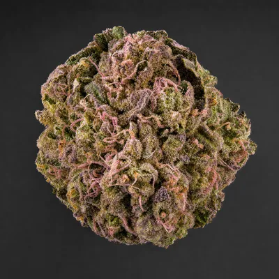 Pink Goo
