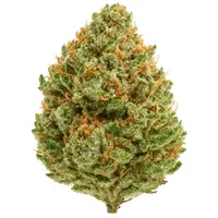 Sour Tangie