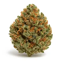 Strawberry Kush